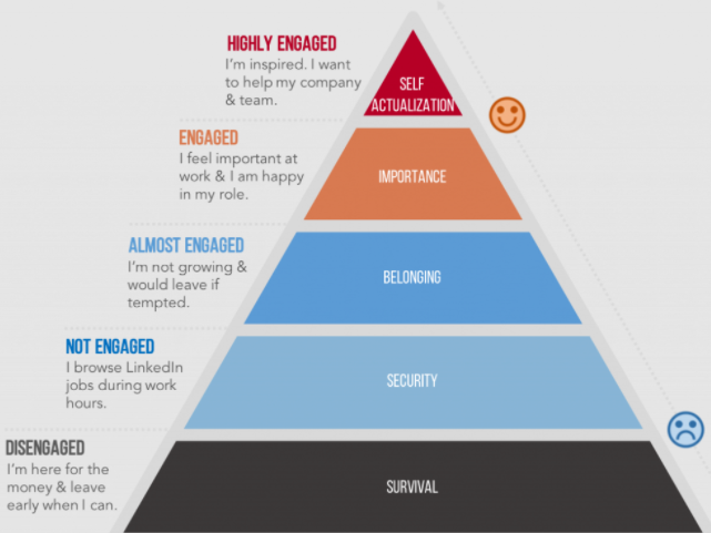 Employee engagement pyramidal structure having different engaged levels