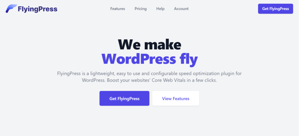 WP Rocket Cache: Flying Press is an alternative to it.