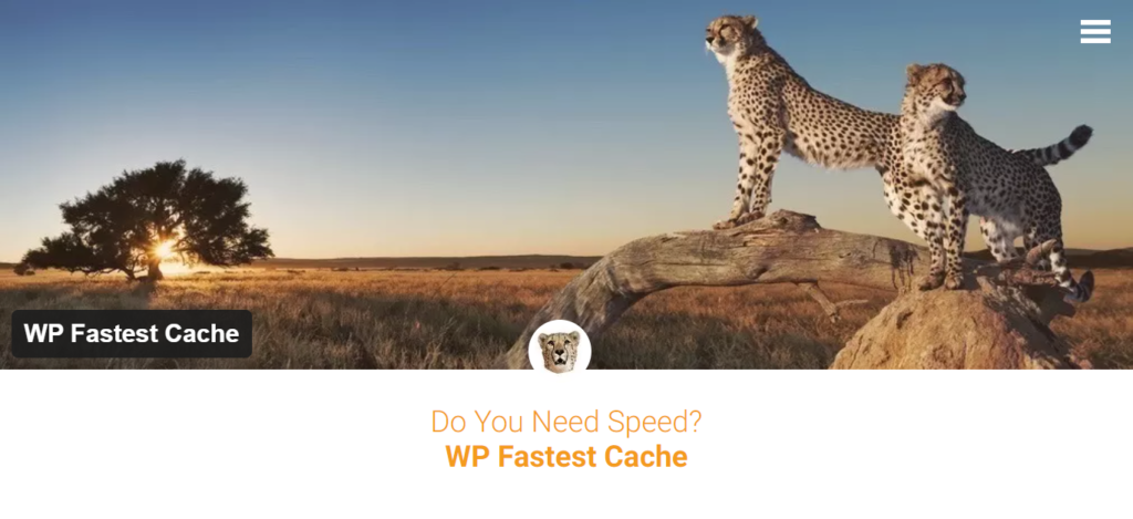 WP Fastest Cache is also an alternative to WP rocket 