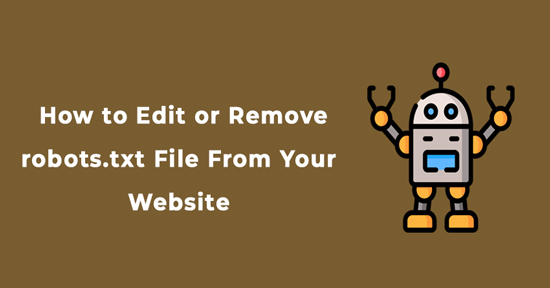 How to Edit or Remove robots.txt File From Your Website